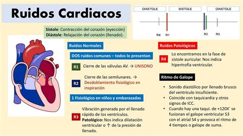 ruidos cardiacos-1